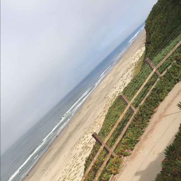 Meet your Posher, Lilly - Picture 1 of 1